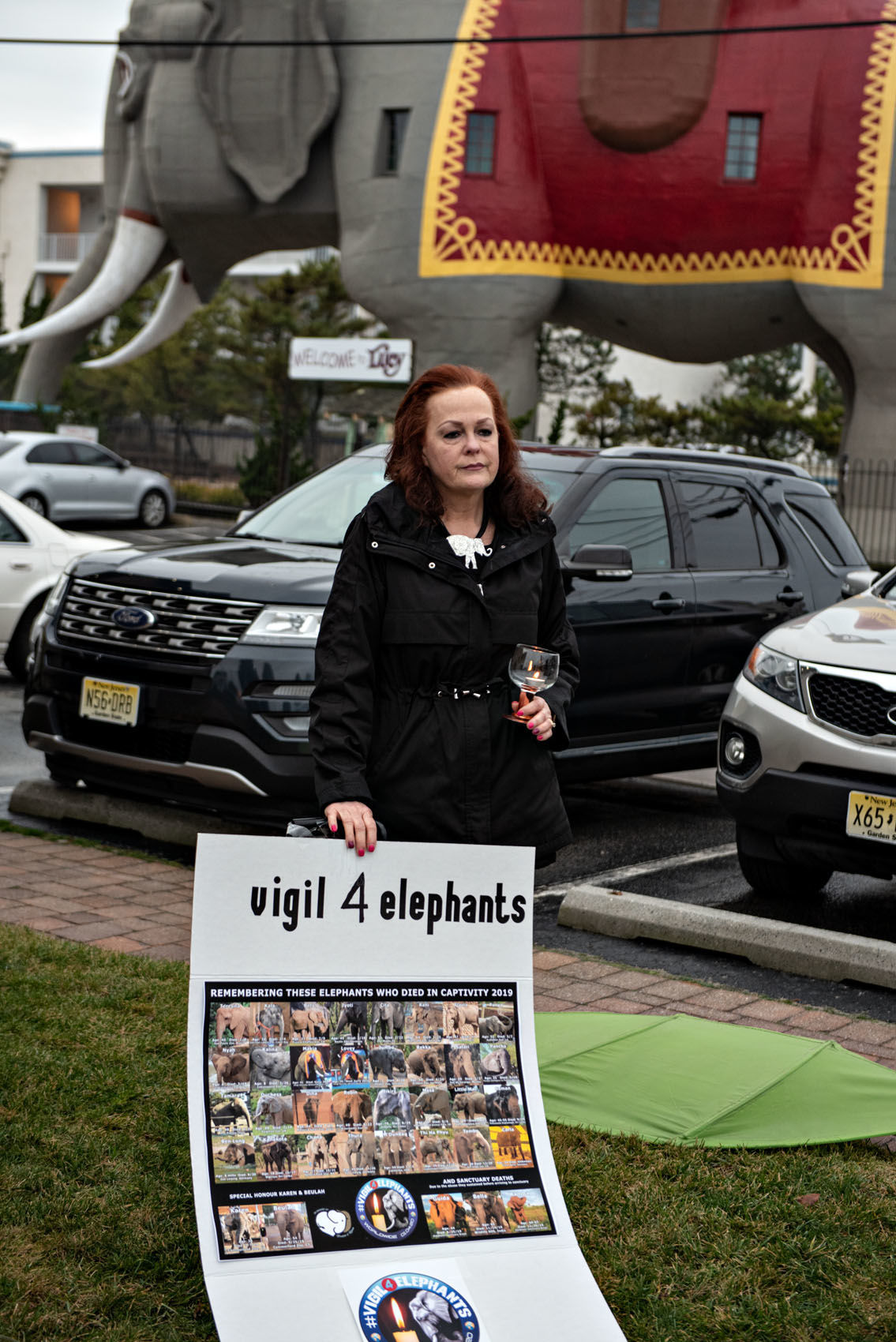 010520_nws_elephants